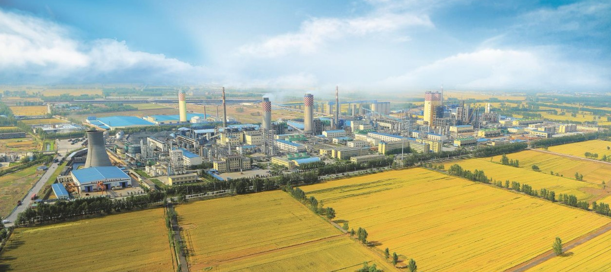 1567496292760801.png image.png