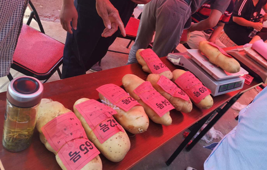 1595317990721349.png image.png