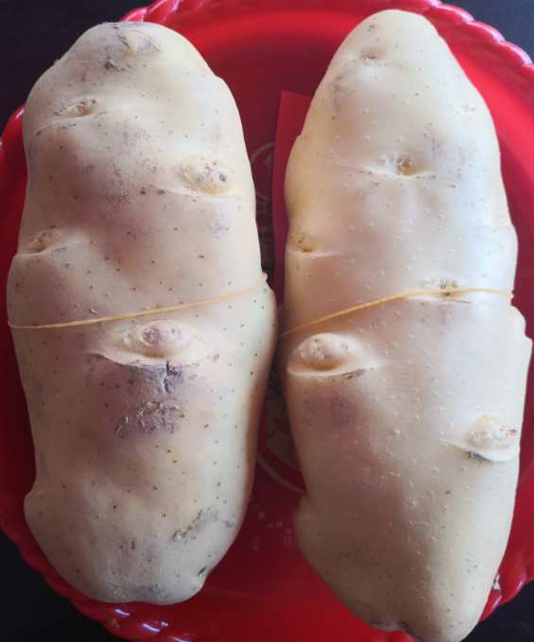 1595318011174376.png image.png