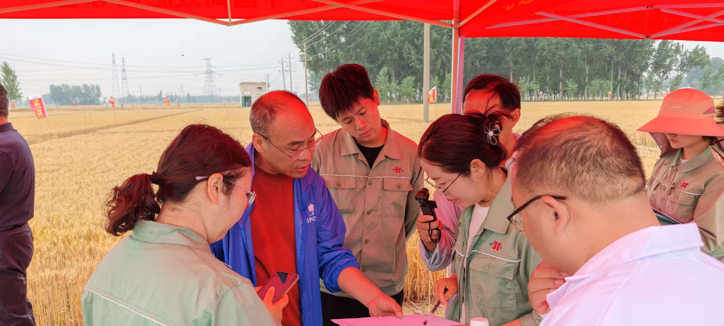 高溫旱情下科技賦能農業(yè)！心連心集團主持的兩個(gè)“十四五”課題交出亮眼成績(jì)單