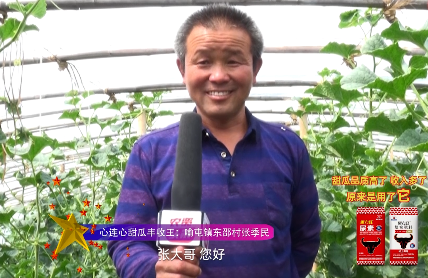 心連心甜瓜豐收王