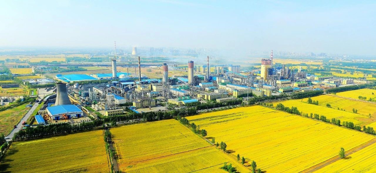 【心連心·瞬間】心連心化學(xué)工業(yè)集團建廠(chǎng)50周年回眸（四）