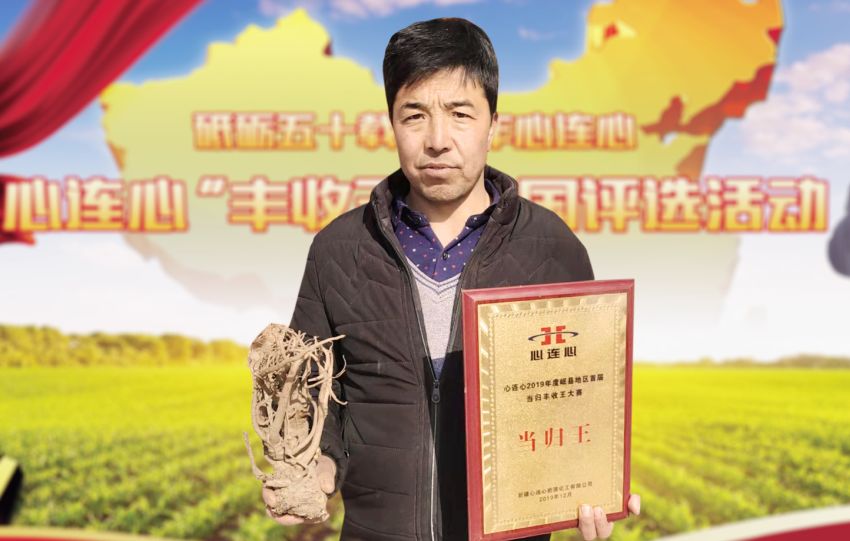 岷縣當歸“豐收王”