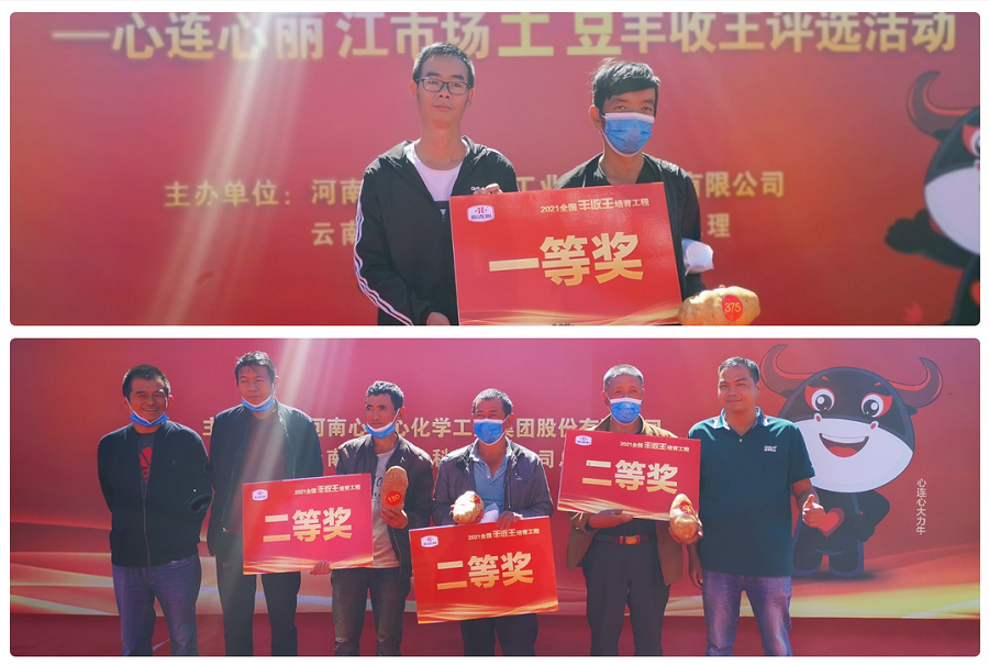 喜迎豐收，薯王爭霸！——心連心麗江市場(chǎng)土豆豐收王評選活動(dòng)成功舉行
